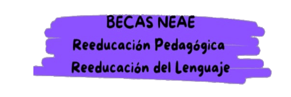 BECAS NEAE / Reeducación Pedagógica